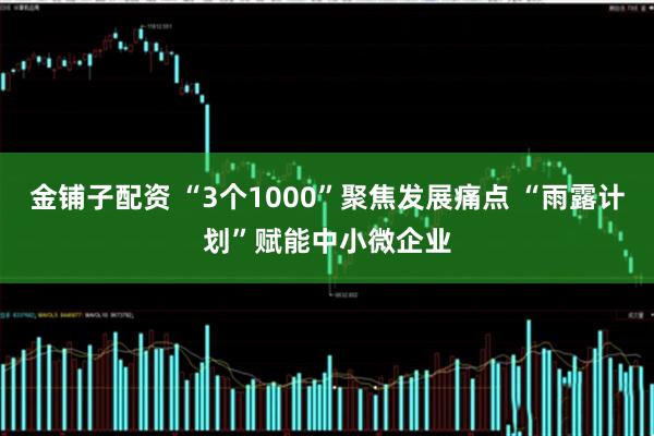 金铺子配资 “3个1000”聚焦发展痛点 “雨露计划”赋能中小微企业
