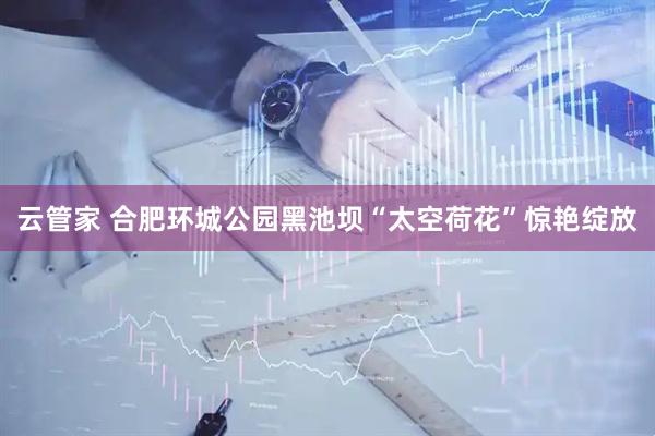 云管家 合肥环城公园黑池坝“太空荷花”惊艳绽放