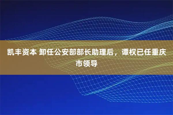 凯丰资本 卸任公安部部长助理后，谭权已任重庆市领导